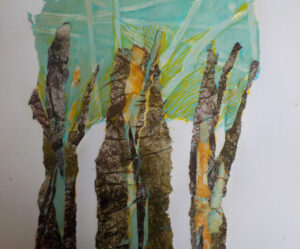 bosques - Susana Boettner