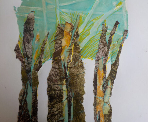 bosques - Susana Boettner