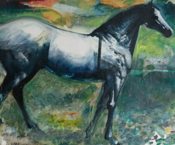 caballo blanco - Miguel Angarita