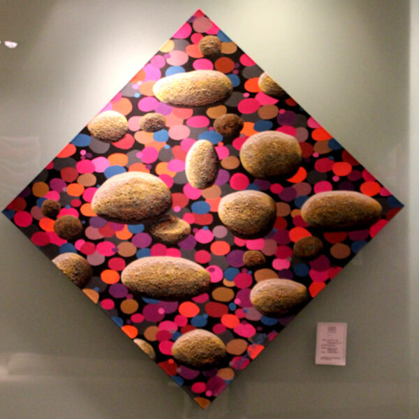 lluvia-aerolitos Aerolite Rain - Ingrid Winter