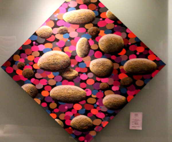 lluvia-aerolitos1 Aerolite Rain - Ingrid Winter