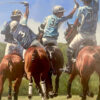 serie polistas - Sebastian Chelia