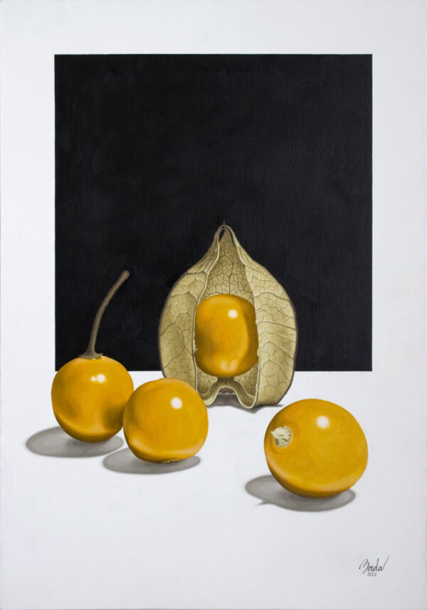 Los juegos de Kelly - Daniel Borda