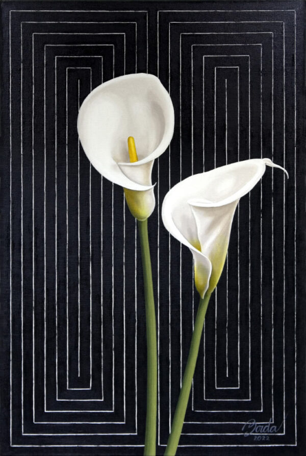 Stella's Garden - Daniel Borda