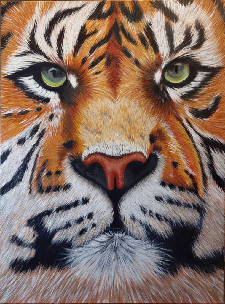 The Tiger - Conny Bernhart