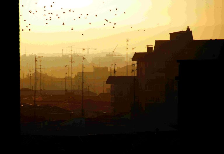 Atardecer - Feroz